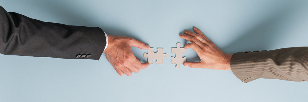Implementation Partner